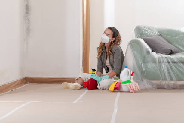 Reliable Mold Testing contractor in Benzonia, MI by WQB Mold Removal