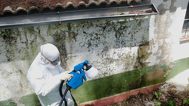 Top rated local Mold Testing specialists in Benzonia, MI